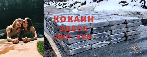молекула духа Алексин